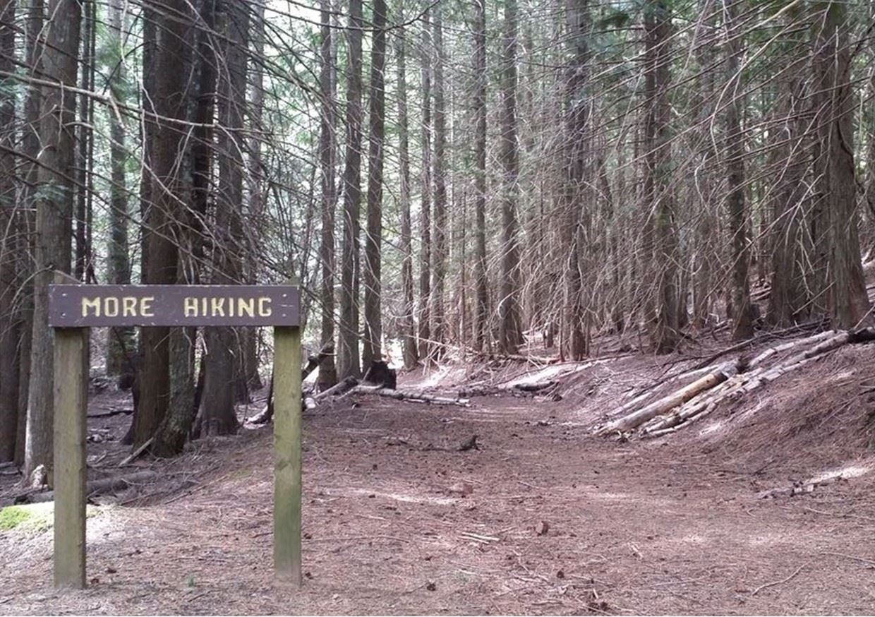 Trail view